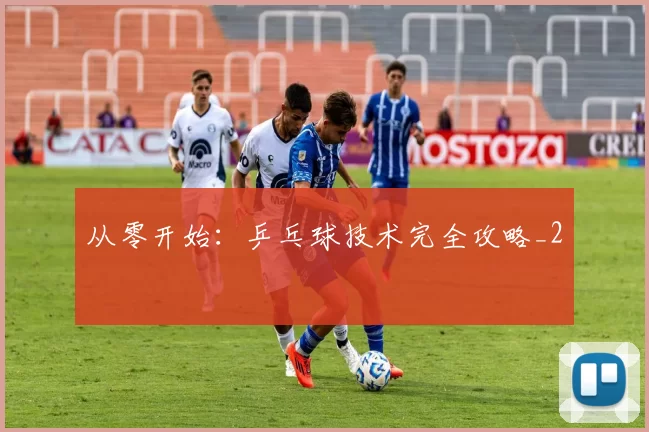 从零开始：乒乓球技术完全攻略_2