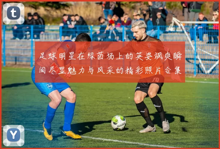 足球明星在绿茵场上的英姿飒爽瞬间尽显魅力与风采的精彩照片合集
