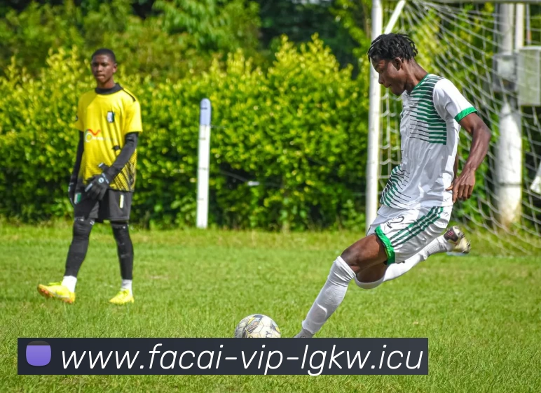 MK体育平台生态图