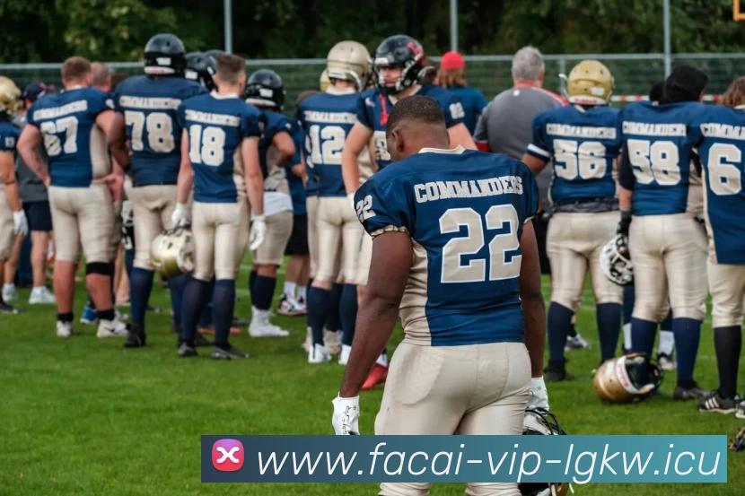 MK体育APP 封面图